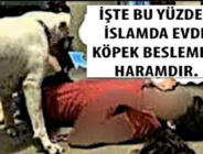 İslam Dininde Evde Köpek Beslemek Neden Haramdır? İşte Sebebi