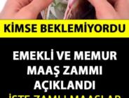 Memur vede Emekli Maaşlarına Yapılacak Artış Oranı Açıklandı