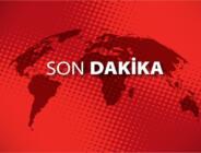 Bronşit ve öksürüğü keserek balgamı yokeder