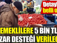 Emeklilere 5 bin TL pazar desteği verilecek