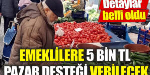 Emeklilere 5 bin TL pazar desteği verilecek